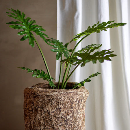 Potted plant in a textured pot with a white curtain in the background