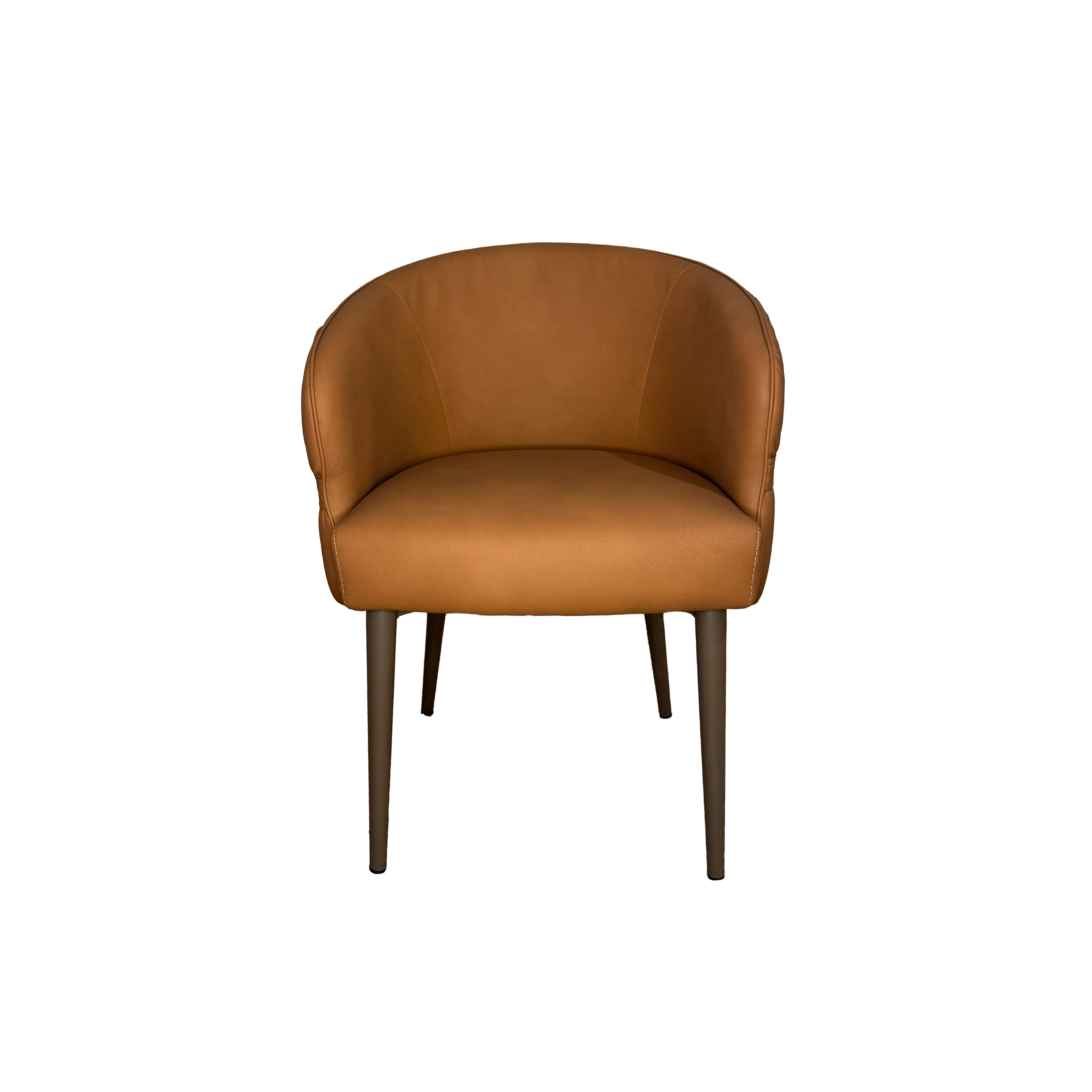 Olive Dining Chair, Set Of 2 - Tan