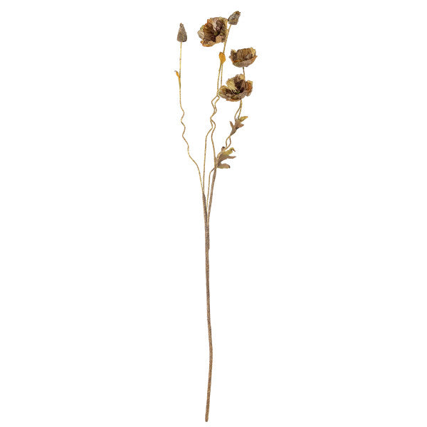 Brown-stemmed plant with natural bark texture and healthy leaf growth