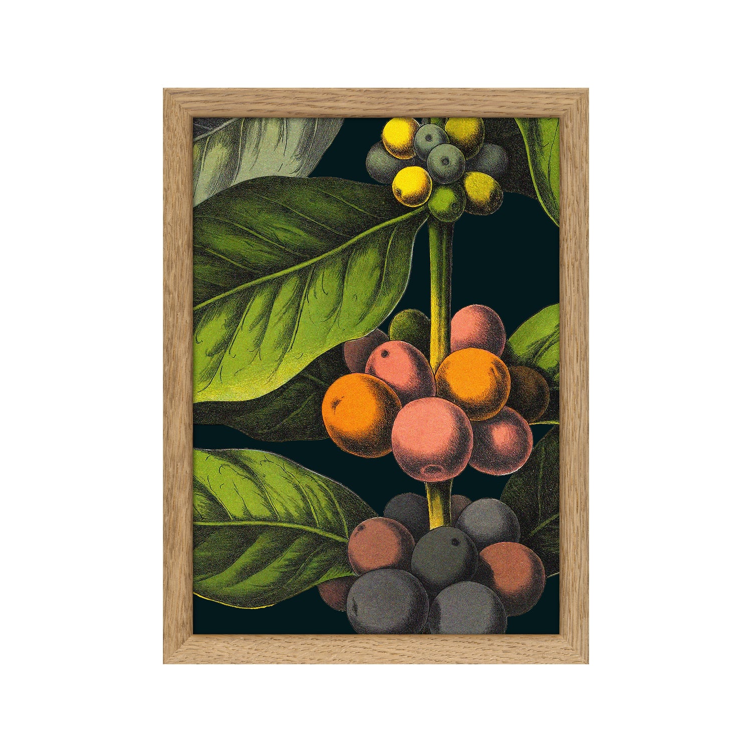 No. RC227 Coffee Details - 15cm x21cm with Oak Frame