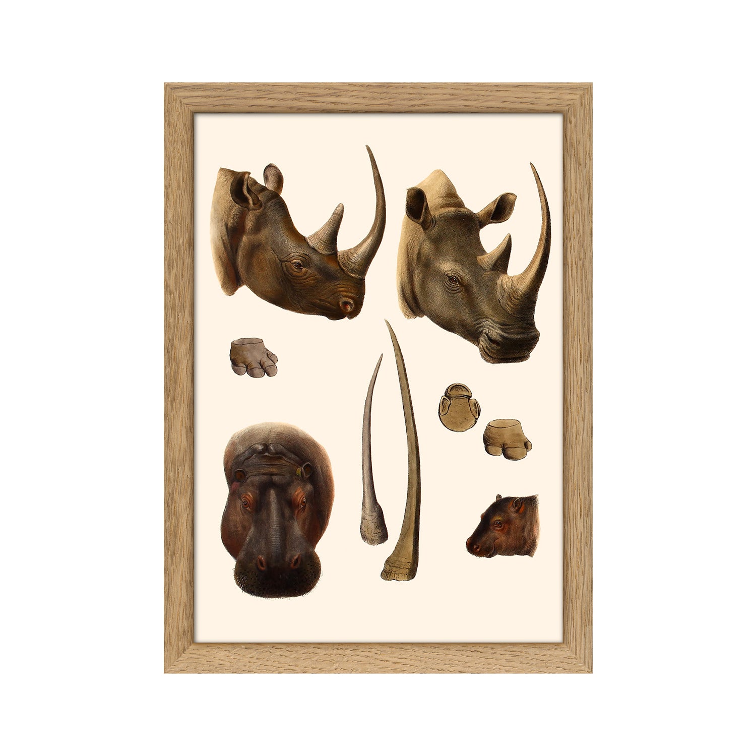 No. RC235 Hippo & Rhino - 15cm x 21cm with Oak Frame