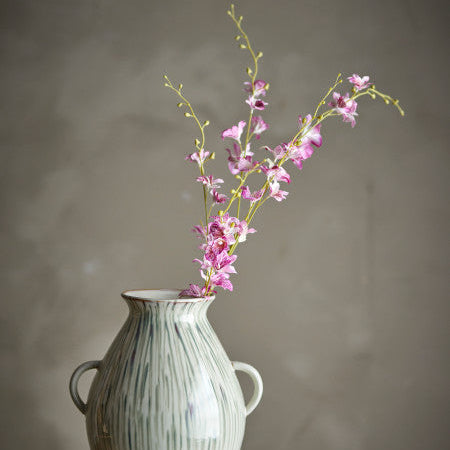 Red rose blooming on a slender green stem with soft petals