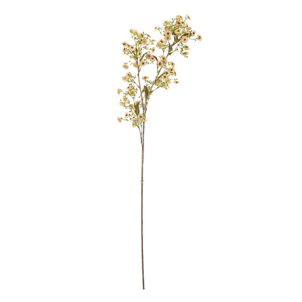 Hand-tied bundle of white stem flowers ready for styling