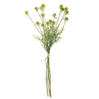 Green stem flowers with a foliage and airy structure