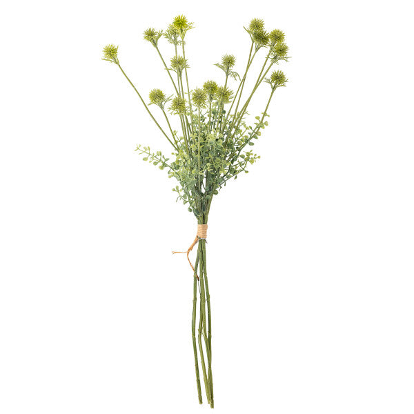 Green stem flowers with a foliage and airy structure