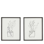 Two framed black and white line drawings of plants on a white background