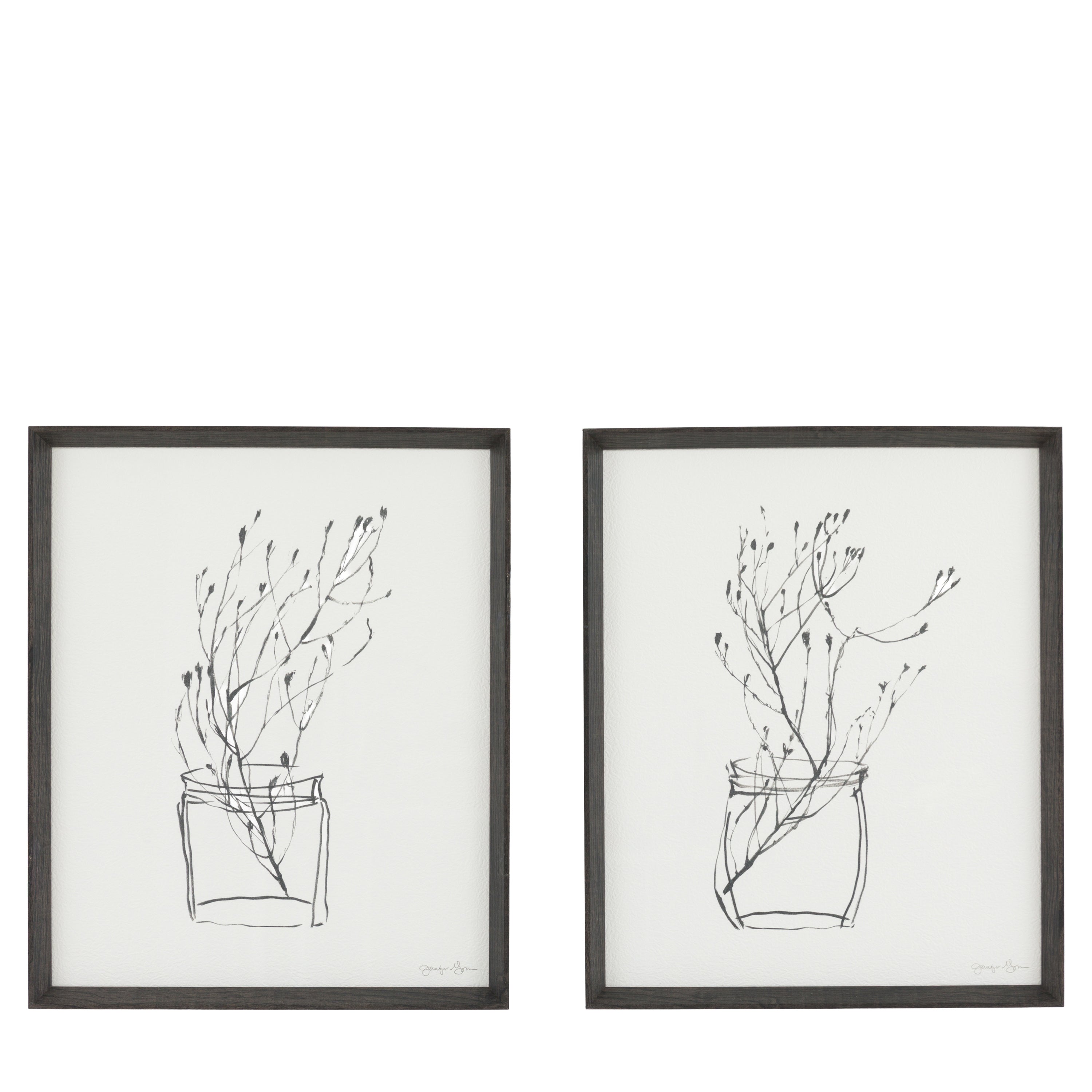 Two framed black and white line drawings of plants on a white background