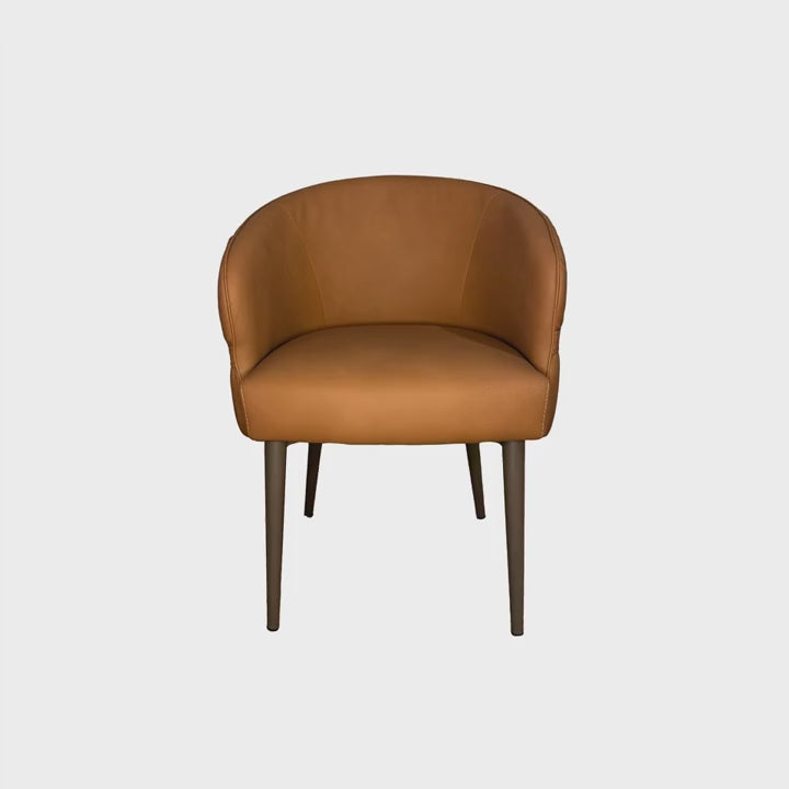 Olive Dining Chair, Set Of 2 - Tan