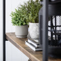 Colebrook Tall Bookcase