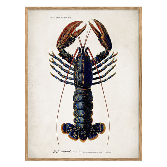 No. 6600 Lobster With Oak Frame - 70cm x 100cm
