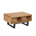 Elsworthy Storage Coffee Table