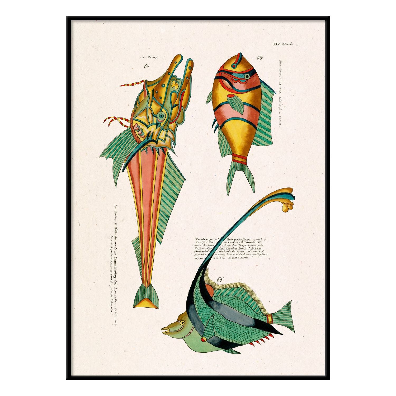No. 3958 Poisson Colours Huit With Black Frame - 30cm x 40cm