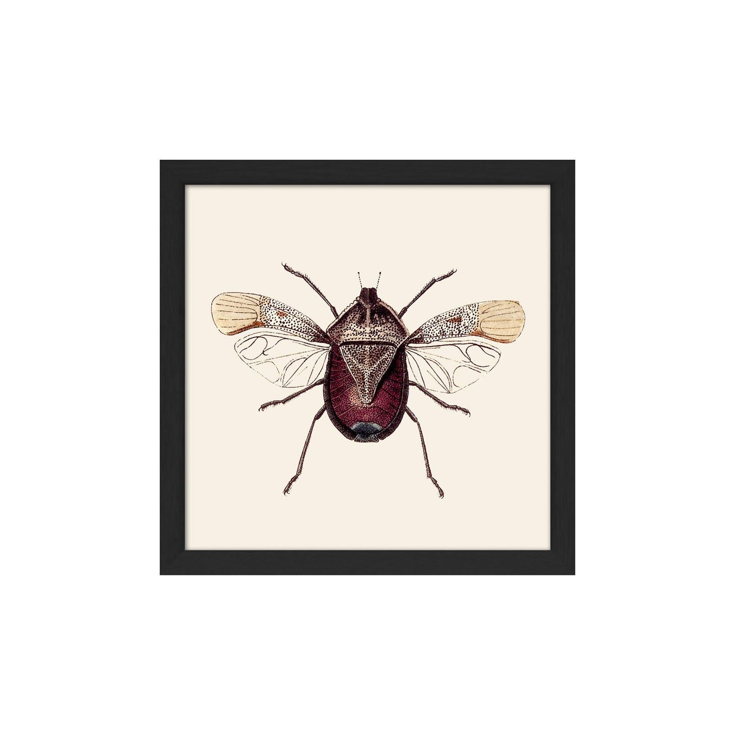 No. SQ119 Dark Red Insect With Black Frame - 15cm x 15cm