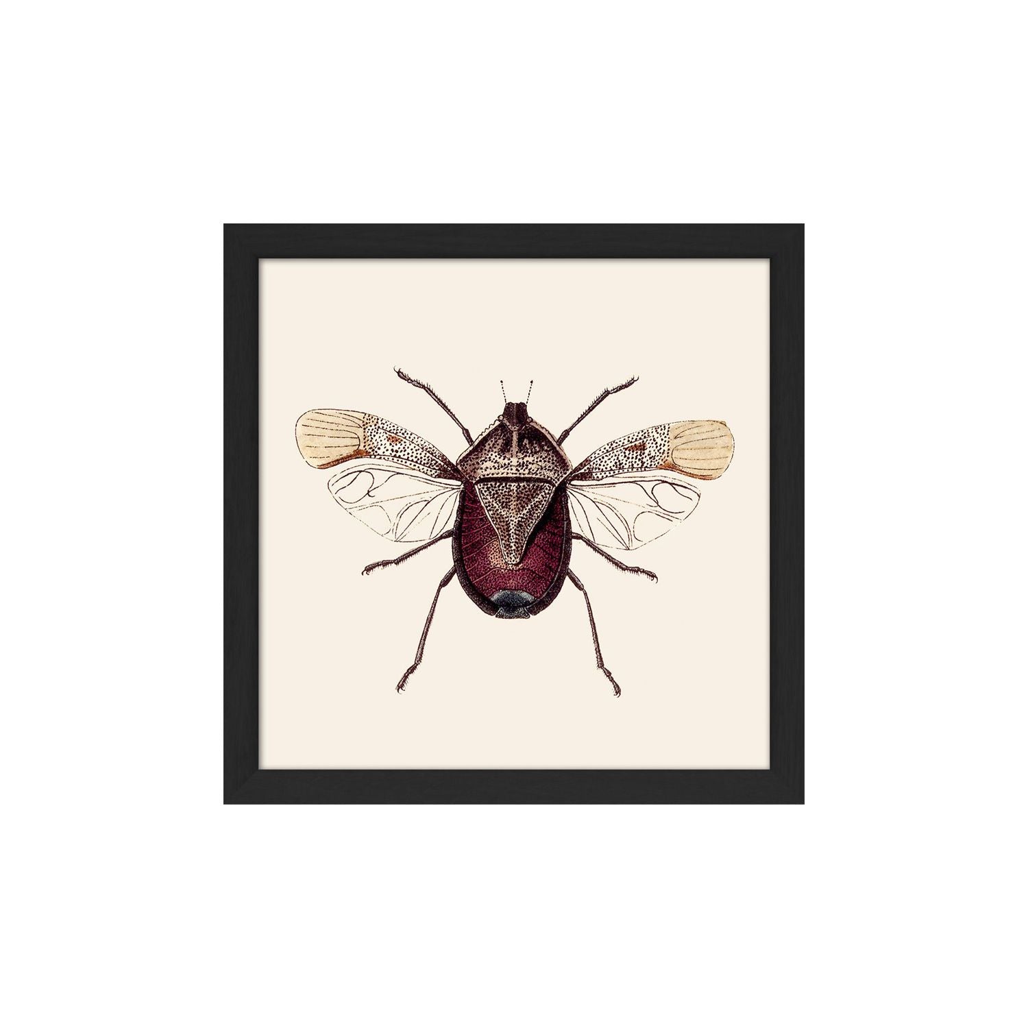 No. SQ119 Dark Red Insect With Black Frame - 15cm x 15cm