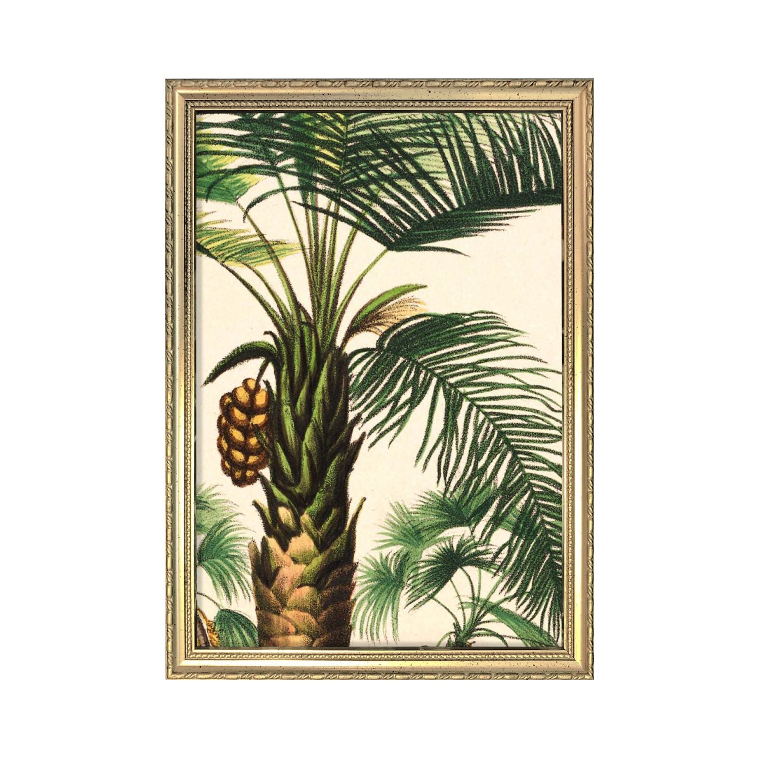 No. RC011 Attalea Compta Mini Print With Gold Frame - 12cm x 21cm