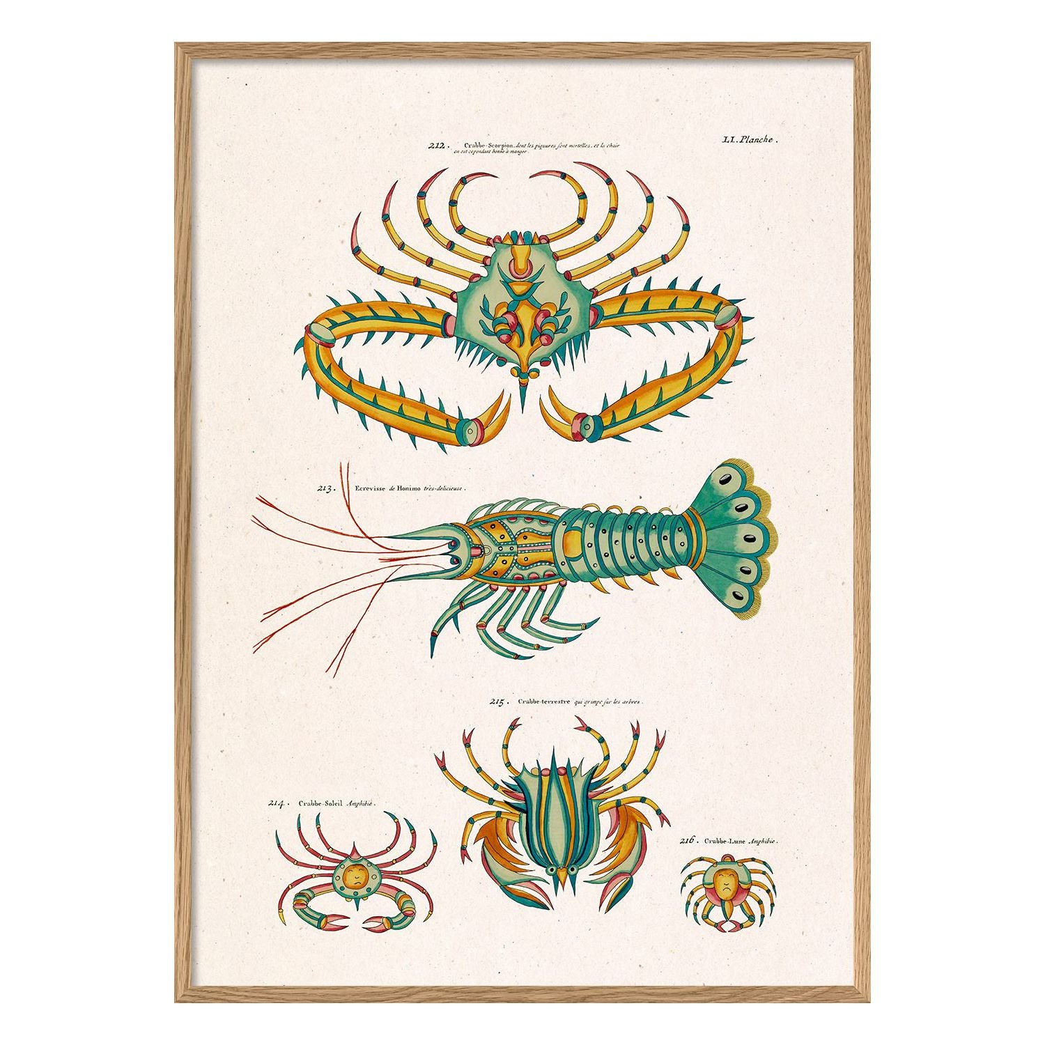 No. 3952 Poisson Colours Deux With Oak Frame - 50cm x 70cm