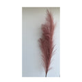 Reed Stem - Burgundy