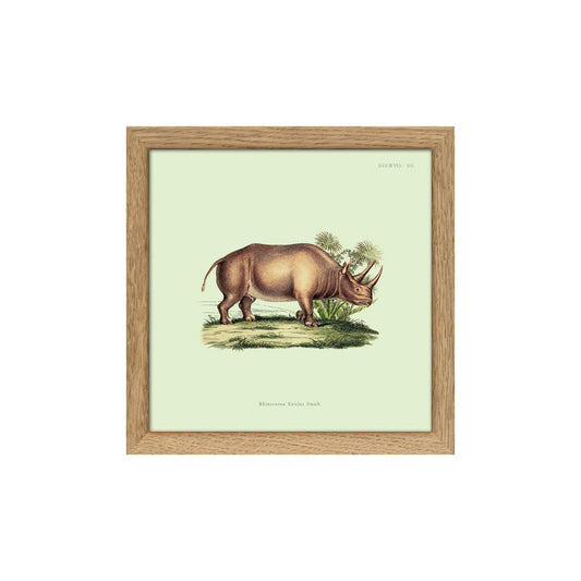 No. SQ5005 Rhino Mini Print With Oak Frame - 15cm x 15cm