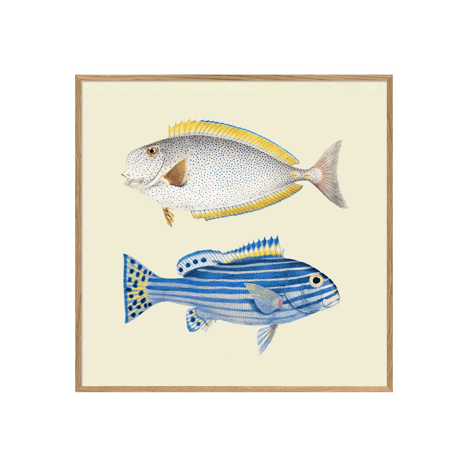 No. 5604 Blue Notes With Oak Frame - 30cm x 30cm