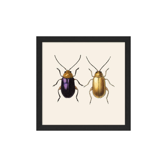 No. SQ120 Purple & Gold Beetles With Black Frame - 15cm x 15cm