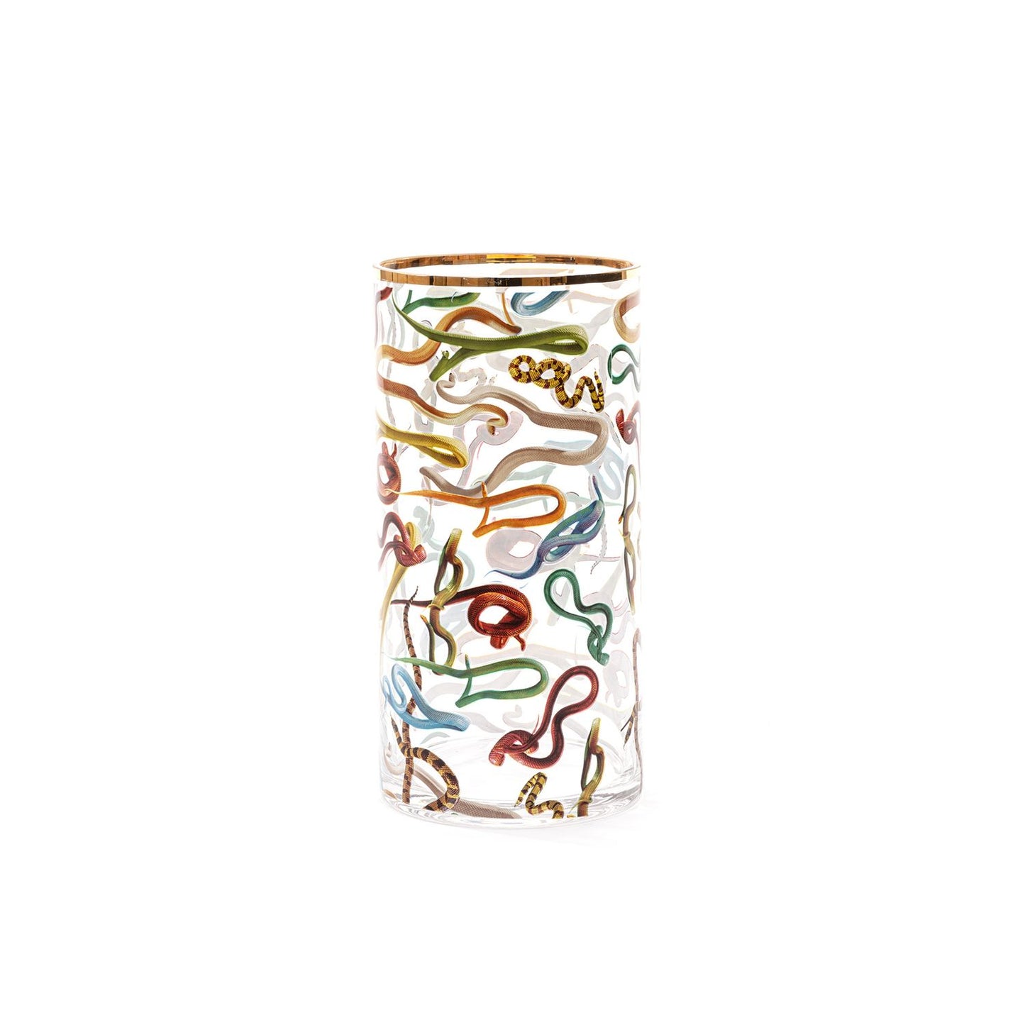 Snakes Glass Vase - 15x30cm