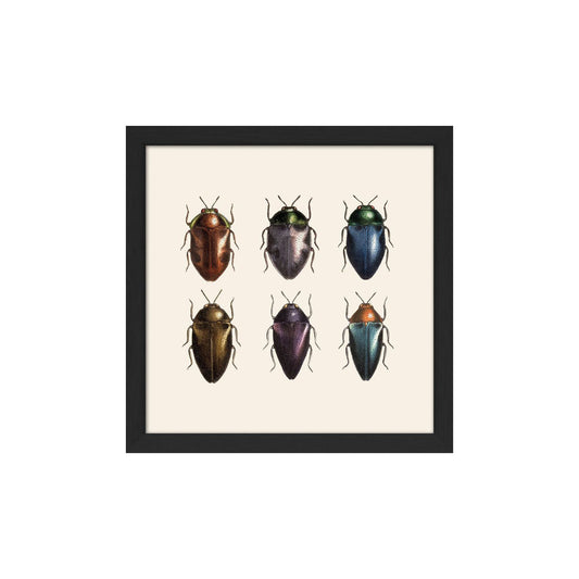 No. SQ117 Six Beetles With Black Frame - 15cm x 15cm