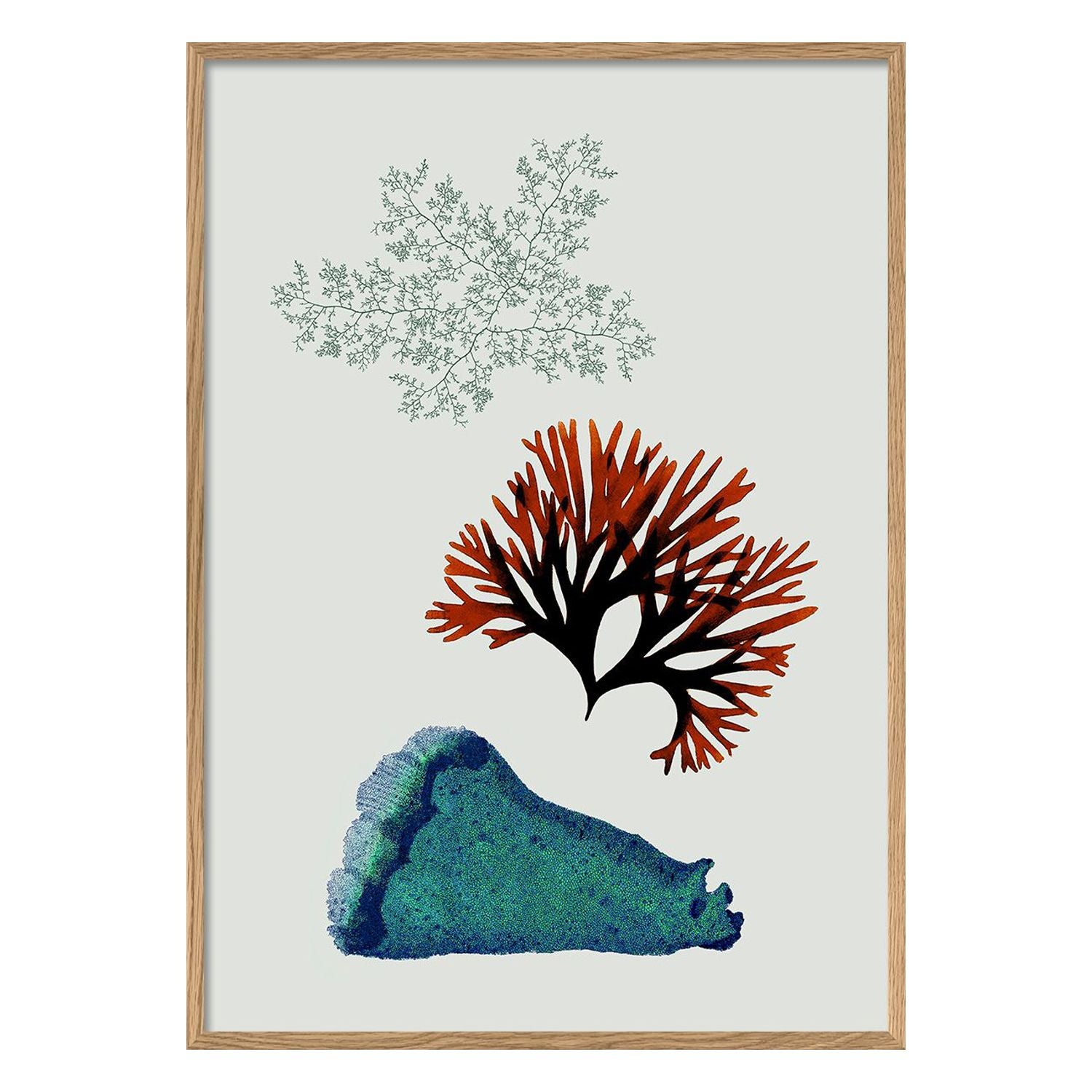 No. 2200 Triple Algae Incl Big Blue With Oak Frame - 30cm x 40cm