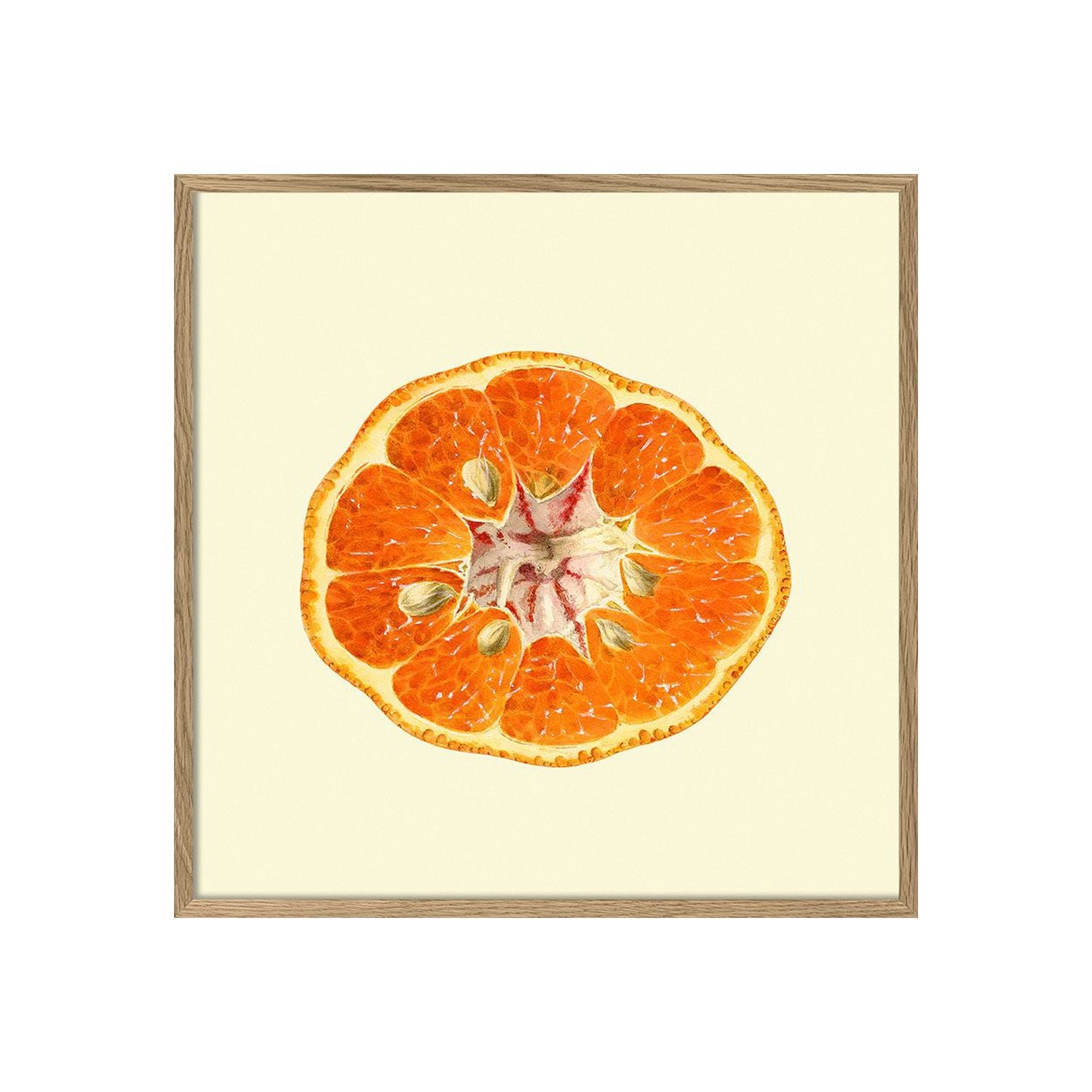 No. 5810 Mandarin With Oak Frame - 61cm x 61cm