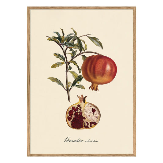 No. 3612 Pomegranate With Oak Frame - 30cm x 30cm