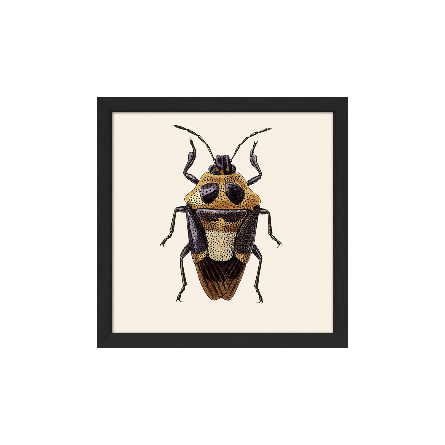 No. SQ116 Beetle With Black Frame - 15cm x 15cm