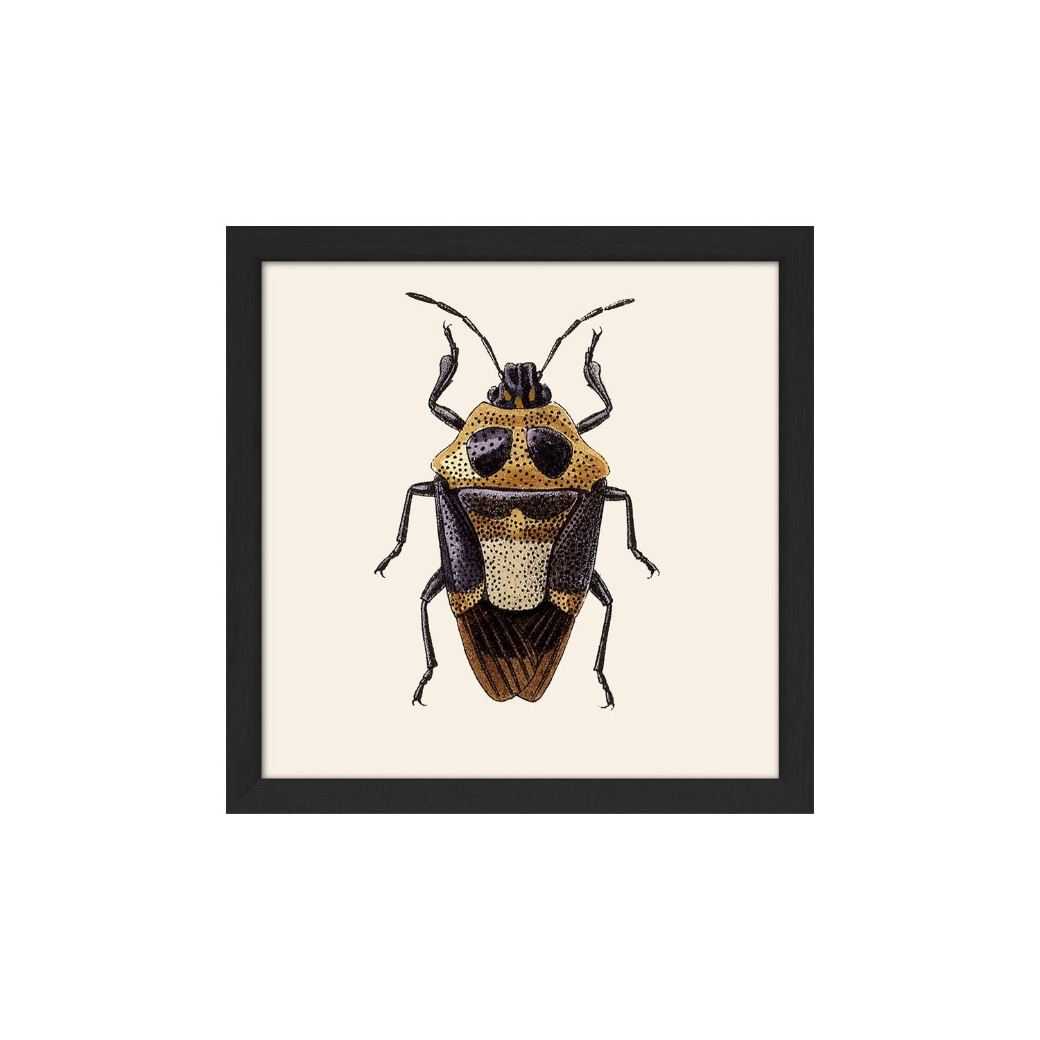 No. SQ116 Beetle With Black Frame - 15cm x 15cm